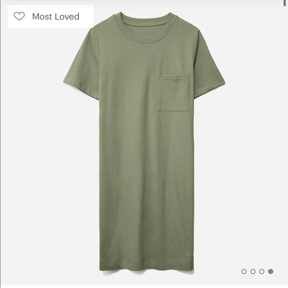 Everlane Weekend Tee Dress
